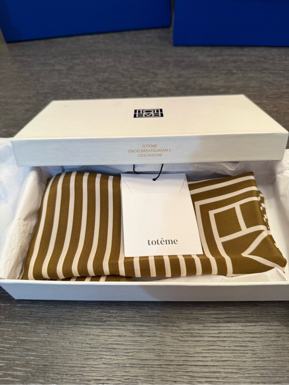 Totême Olive and White Striped Graphic Silk Scarf